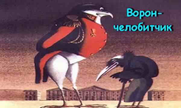 Ворон челобитчик