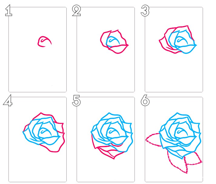 Бутон розы нарисовать поэтапно