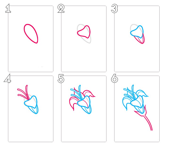 Как поэтапно карандашом нарисовать лилию карандашом поэтапно для начинающих